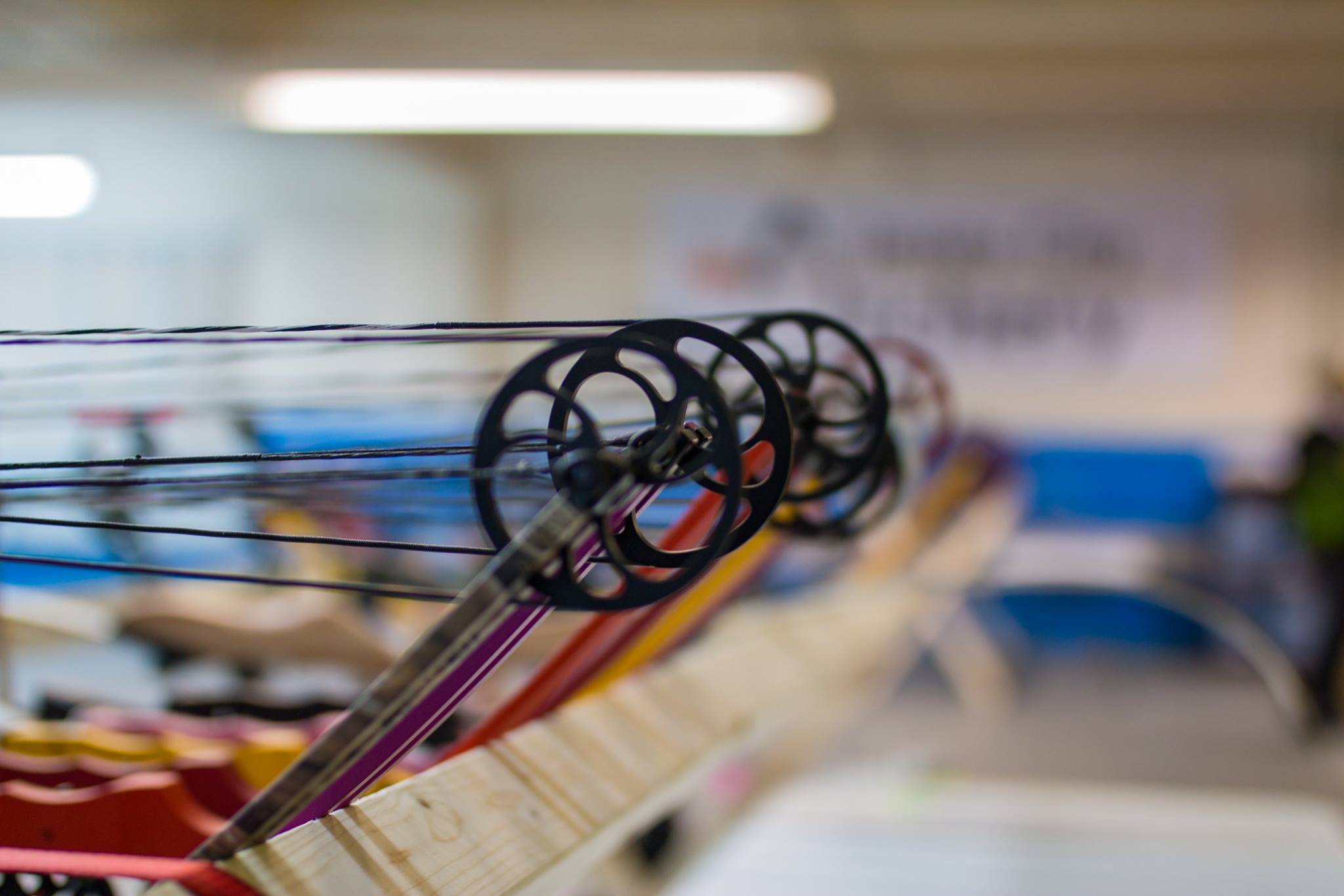 Jersey City Archery Passion, Love, Archery